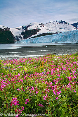 Harriman Glacier, Alaska.