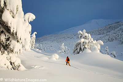 Snowshoeing Photos