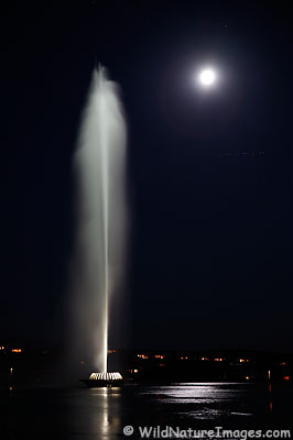Fountain Hills Fountain and Moon