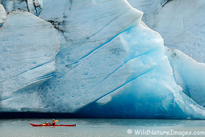 Kayaking in Front of Mendenhall Glacier