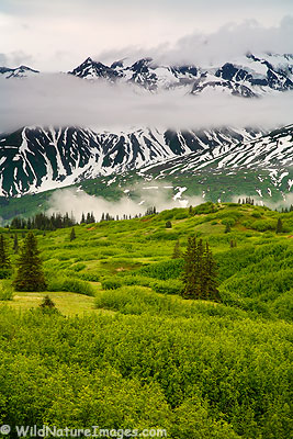 Takhinsha Mountains, Haines, Alaska.