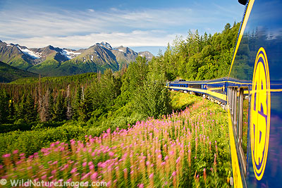 Alaska Railroad Photos