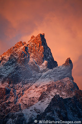 Teton Alpenglow