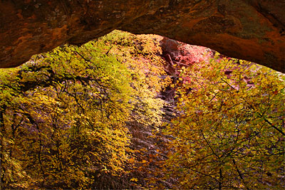 Arch along Hidden Canyon Trail, Zion National Park, Utah