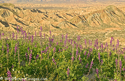 Carrizo Badlands Overlook in Anza-Borrego Desert State Park, California.