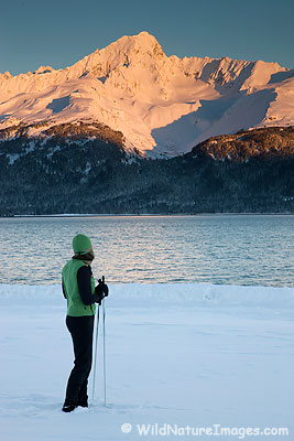 Cross Country Skiing