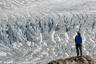 Harding Icefield Trail, Kenai Fjords National Park, Alaska.