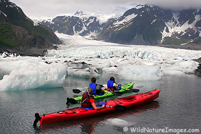 Kayaking in Kenai Fjords