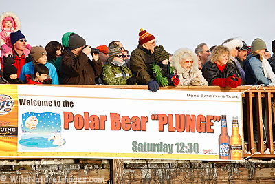 Watching the Polar Bear Jump Off