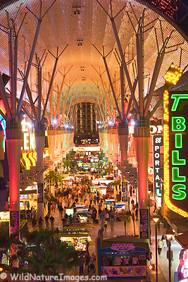 Las Vegas Photos