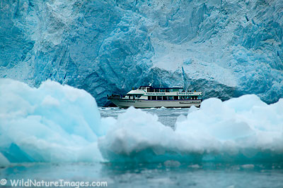 Kenai Fjords Natoinal Park Boat Tours