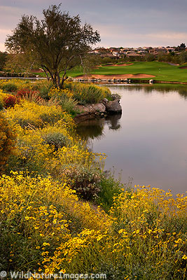 Sunridge Canyon Golf Course