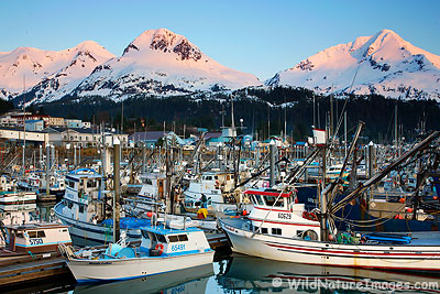 Cordova Alaska Boat Harbor, Alaska