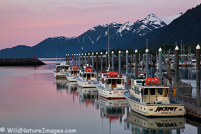 Seward Boat Habor, Alaska