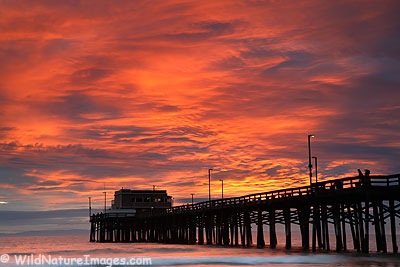 Newport Beach Pier, California.