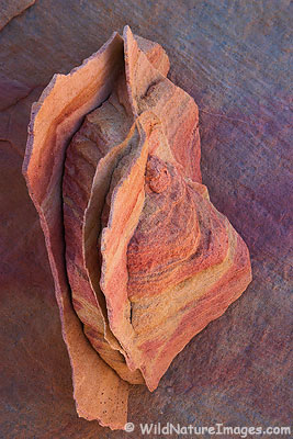 An interesting rock, Valley of the Fire State Park, Nevada.