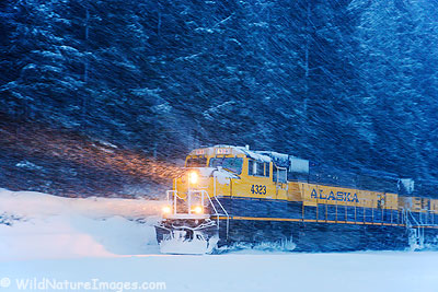 Alaska Railroad in a winter storm, near Seward, Alaska.