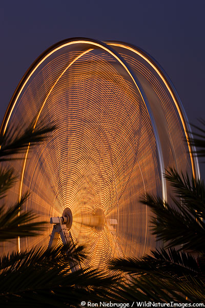 A ferris Wheel at night, Long Beach, California.