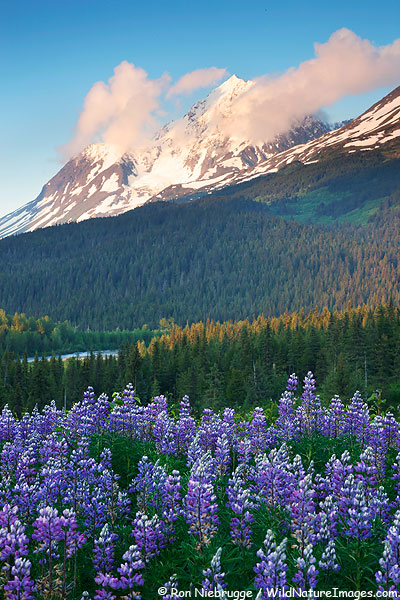Paradise Peak, Chugach National Forest, Alaska.