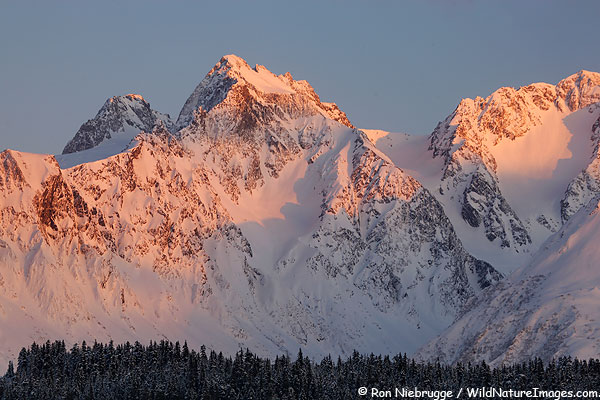 Another photo from Thursday evening of the Chugach National Forest, Seward, Alaska.