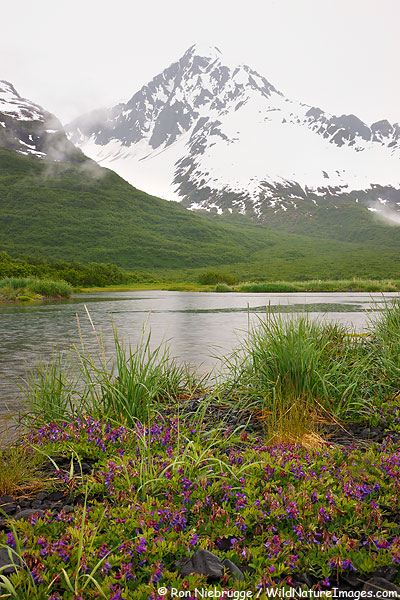 An Aialik lagoon, Kenai Fjords National Park, Alaska.