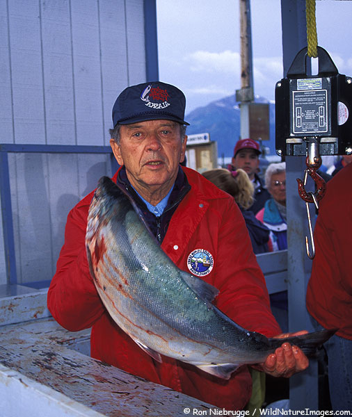 Former Alaska Senator Ted-Stevens weighing salmon at the Seward Silver Salmon Derby, Seward, Alaska.