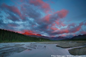Sunset over the Teklanika River valley, Denali National Park, Alaska.