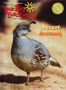 Your Big Backyard magazine cover!
