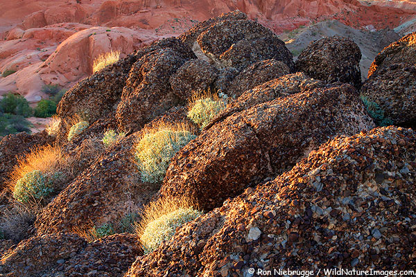 Aggregate rock hill, Valley of Fire State Park, Nevada.