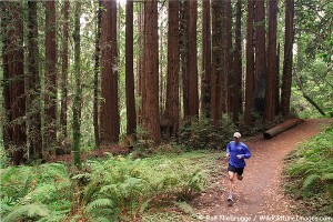 Greg Hales running through the redwoods in Nisene State Park, Aptos, California