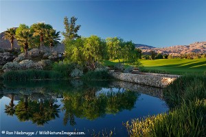 Celebrity Course next to the Hyatt Grand Champion Resort, Indian Wells, California.