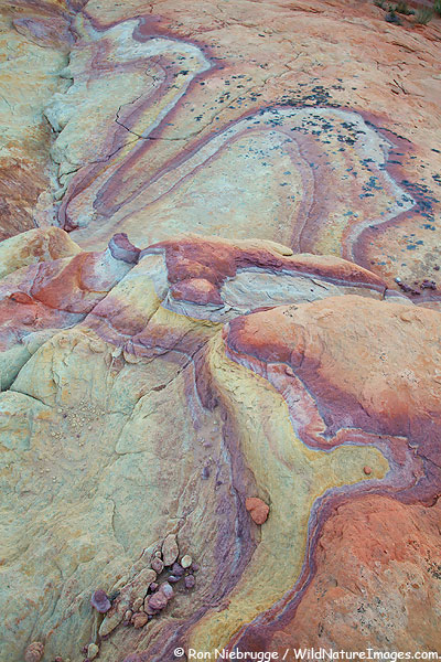 Colorful rock, Valley of Fire State Park, Nevada.