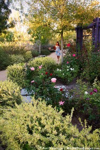 Springs Preserve, Las Vegas, Nevada.
