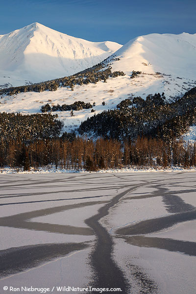 Summit Lake, Kenai Peninsula, Alaska.