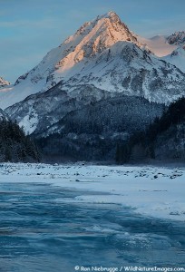 Yesterday afternoon along Fourth-of-July-Creek, Seward, Alaska.