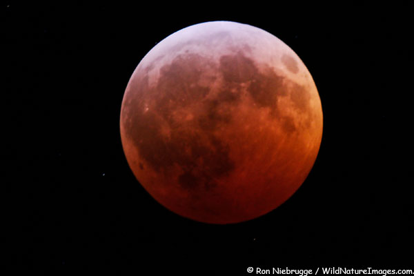 Lunar eclipse from last night, Seward, Alaska. Lunar eclipse from last night, Seward, Alaska.