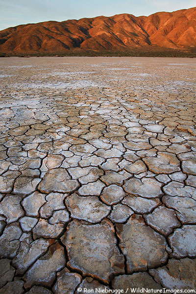 Cracked mud on a dry lake, Anza-Borrego Desert State Park, California.