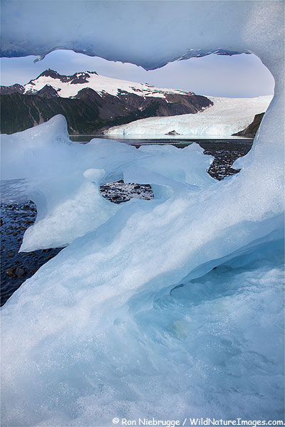 Iceberg in front of Aialik Glacier, Kenai Fjords National Park, Alaska.