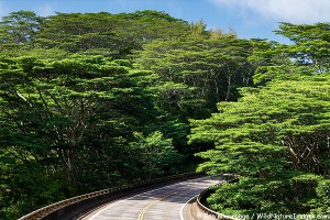 Kalihiwai Bridge, Kauai, Hawaii.