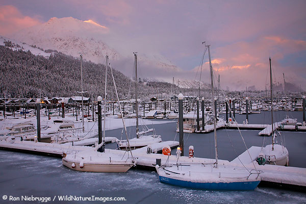 Seward Boat Harbor, Seward, Alaska.
