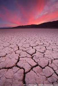 Dry lake bed at sunset, Anza-Borrego Desert State Park, California.