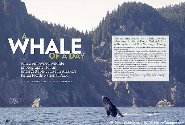 Janine's article in this months Country Extra!