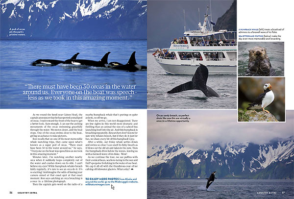 Janine's article in this months Country Extra!