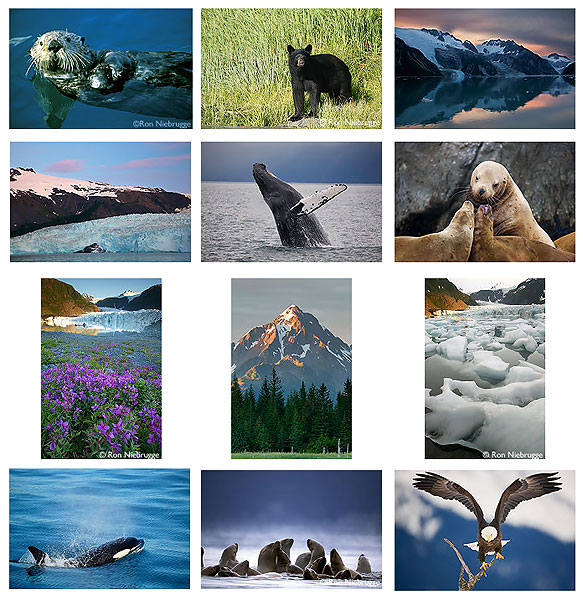     Photos all from Kenai Fjords National Park and / or Seward, Alaska.