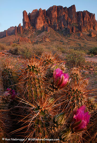 Superstition Mountains, Superstitions Mountain State Park, Arizona.
