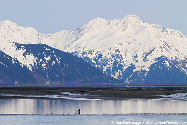 A stand up paddle boarder surfing the bore tide, Turnagain Arm, Alaska.