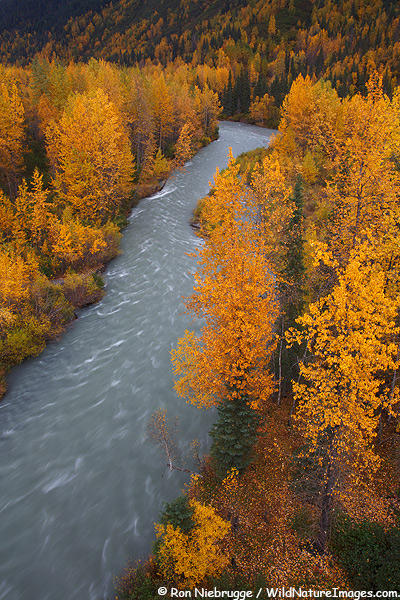 Chugach National Forest, Alaska.