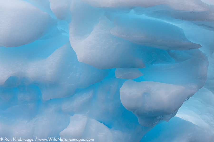 Iceberg in College Fjord, Prince William Sound, Chugach National Forest, Alaska.
