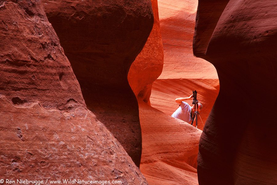 One of a number of slot canyons we will photograph - this one exclusively!  