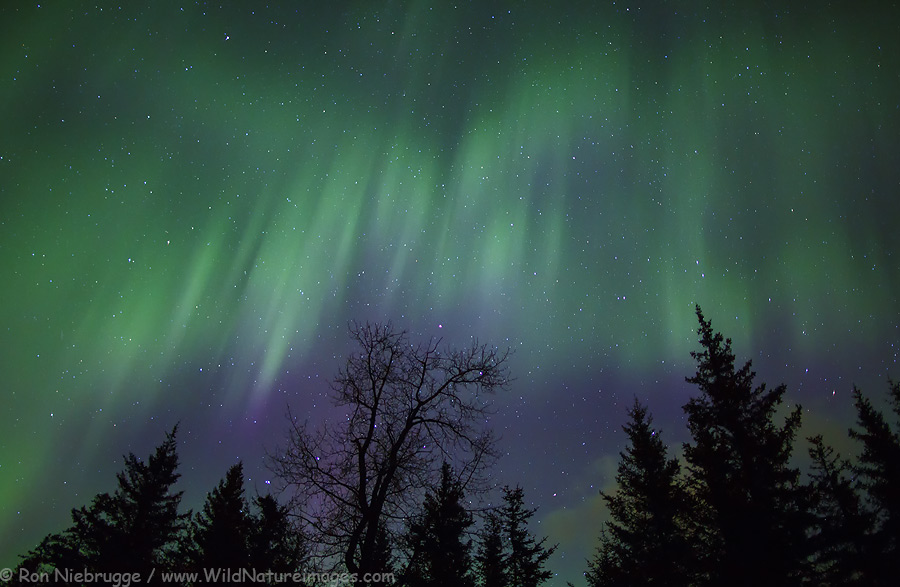 Northern Lights near Seward, Alaska.